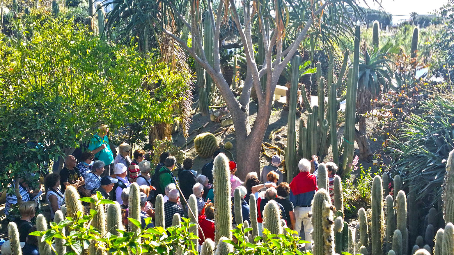 ischia, giardino, botanico, visita, guidata