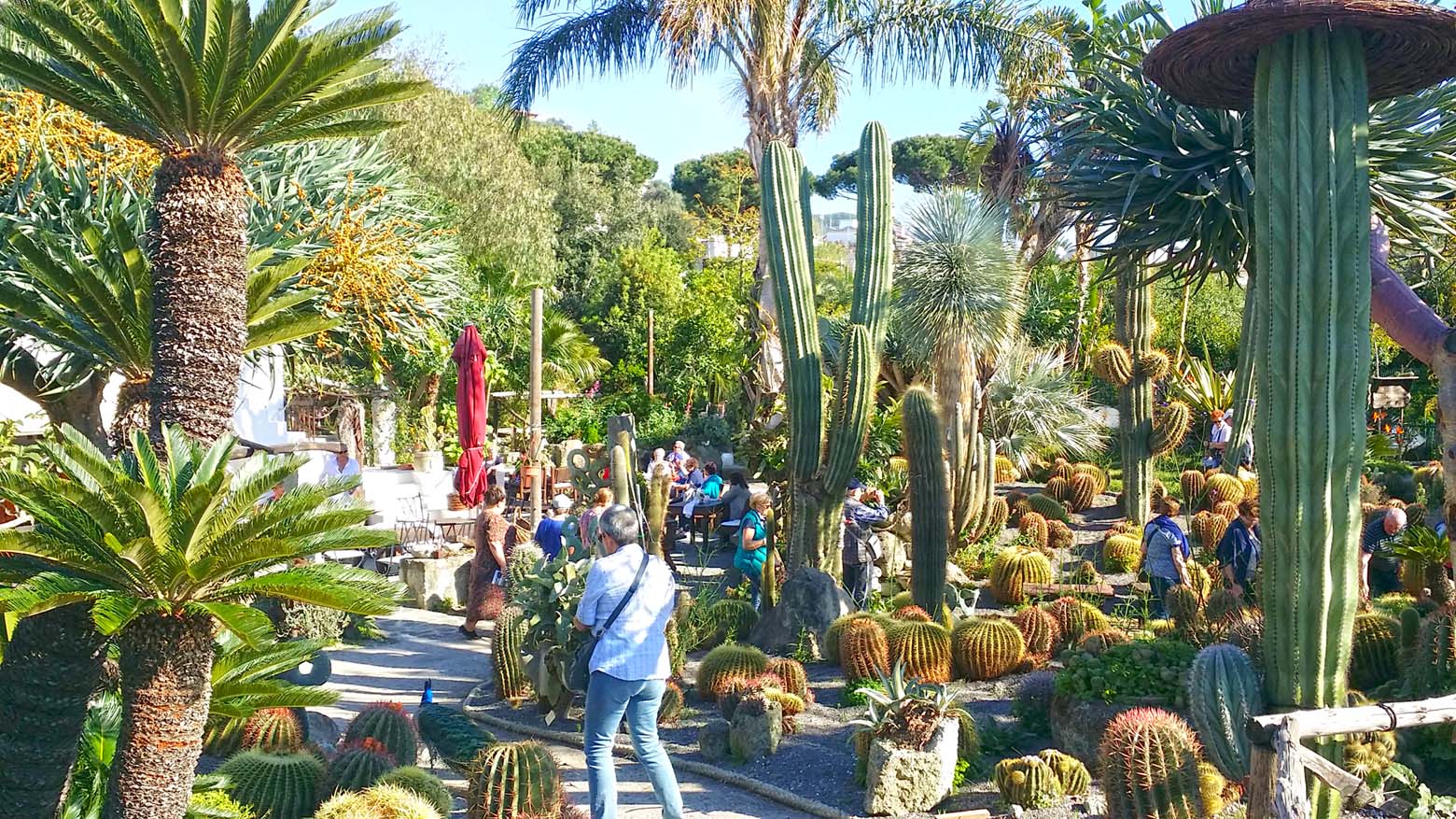 ischia, giardino, botanico, visita, guidata